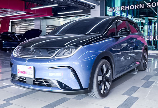 ผลงานติดตั้งเครื่องเสียงรถยนต์ BYD DOLPHINE